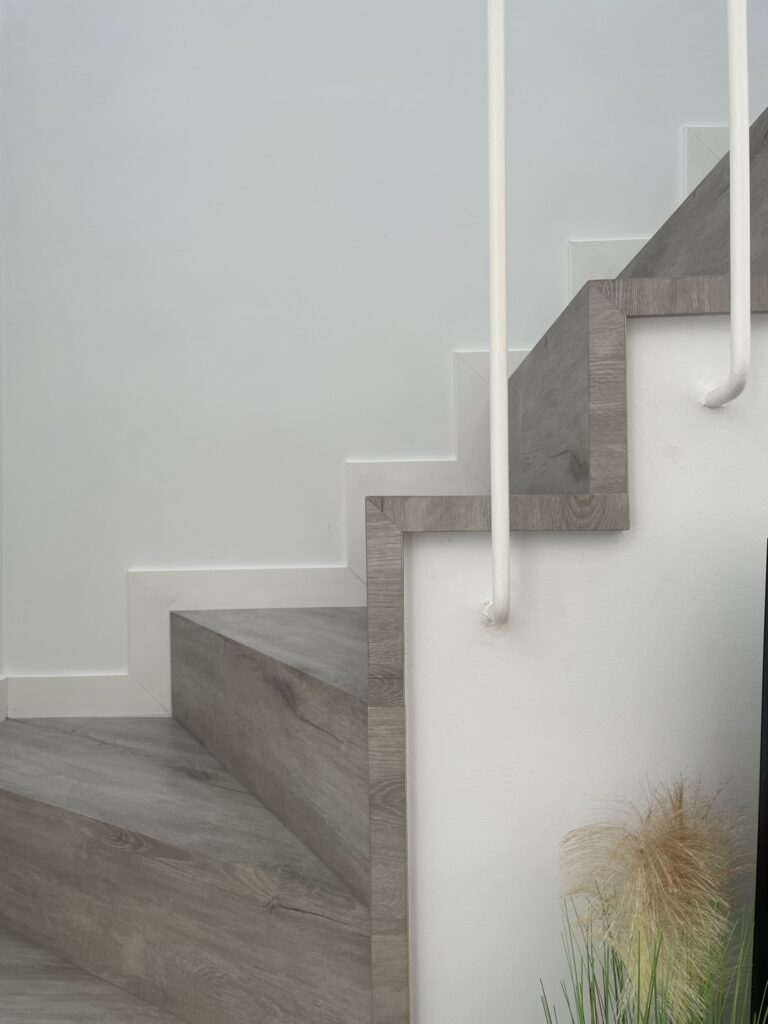 Reforma en el Papiol