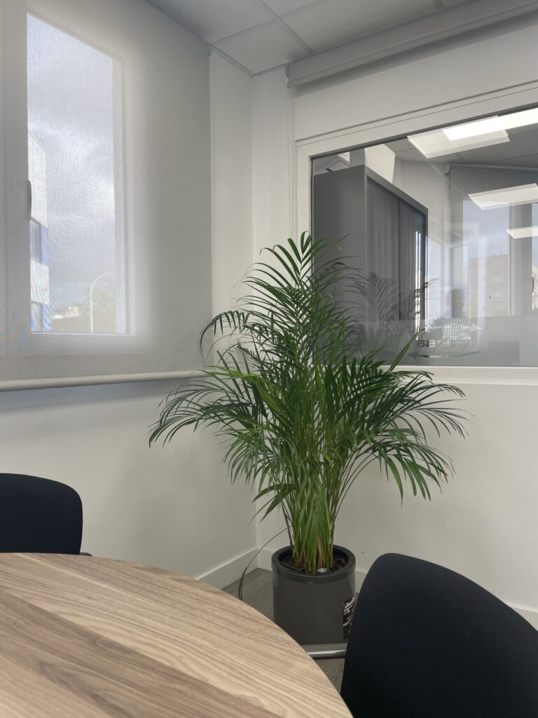 Reforma en las Oficinas GERSA