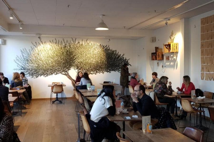 Proyectos realizados locales